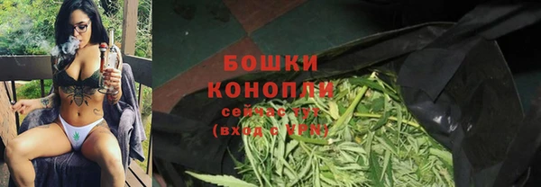 ПСИЛОЦИБИНОВЫЕ ГРИБЫ Абаза