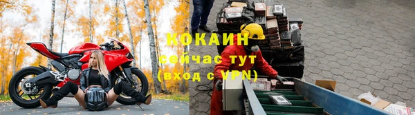 ПСИЛОЦИБИНОВЫЕ ГРИБЫ Абаза