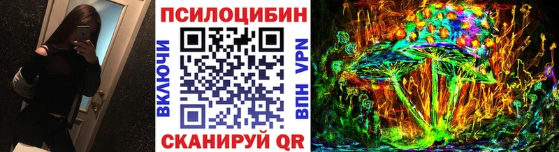 это какой сайт  купить наркоту  Чулым  Псилоцибиновые грибы Psilocybe 